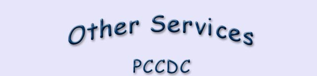 Other Services